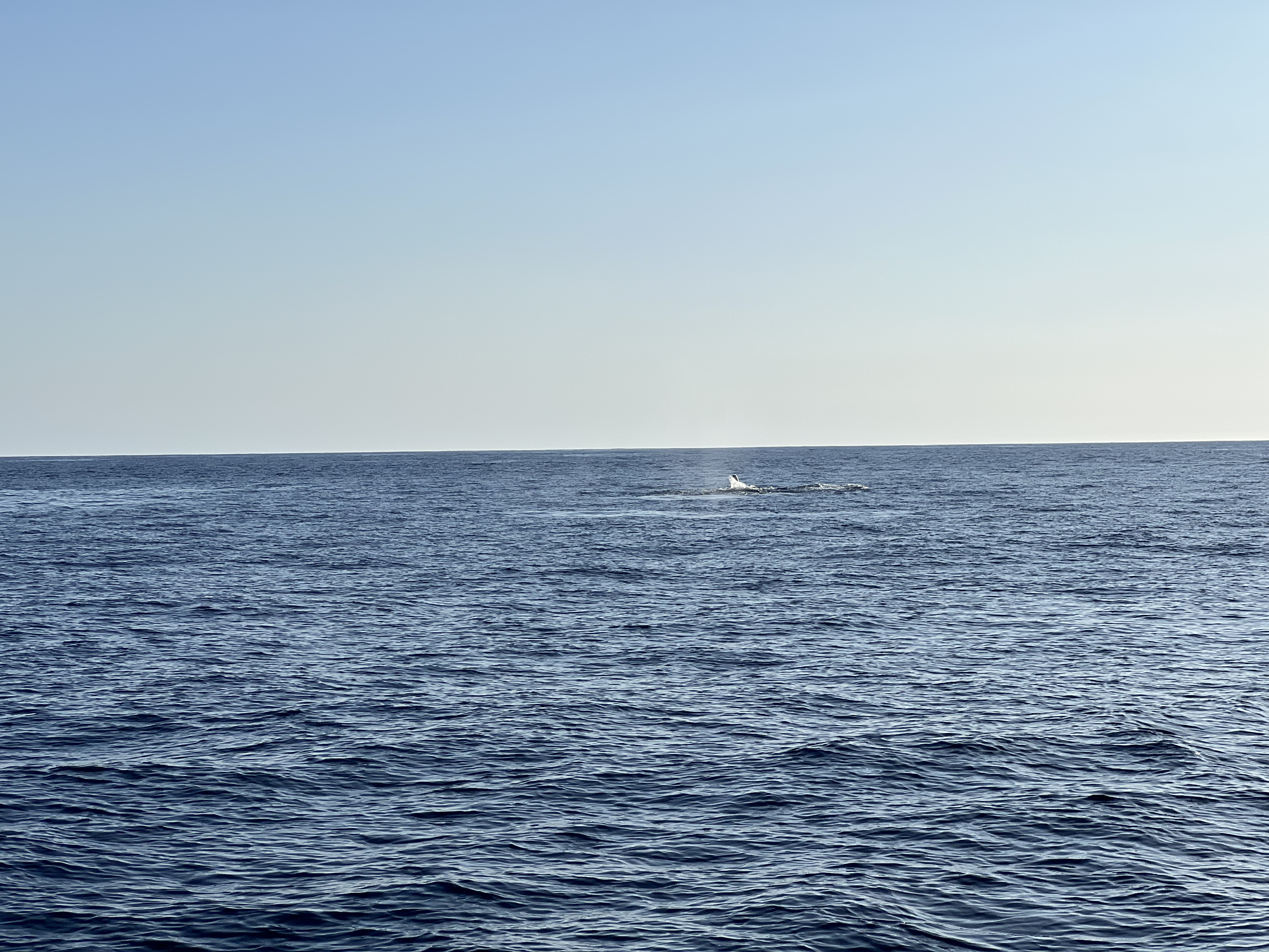 ./2024/13 - Cabo/IMG_4670.jpg